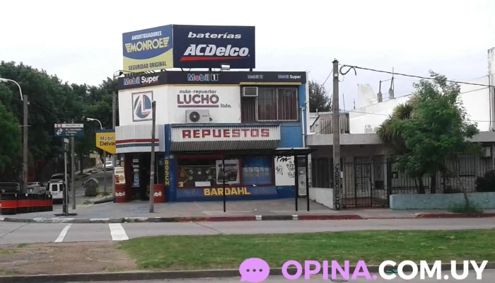 Auto Repuestos Lucho S.a. - Bv. José Batlle Y Ordóñez