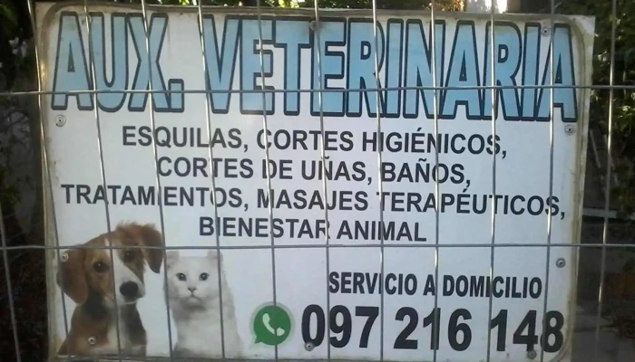 Auxiliar veterinaria - 20000 Maldonado