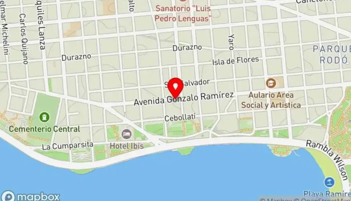 mapa de Av. Gonzalo Ramírez y Minas  en Montevideo