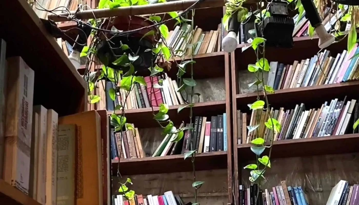 Babilonia Libros -  Puntaje - Montevideo