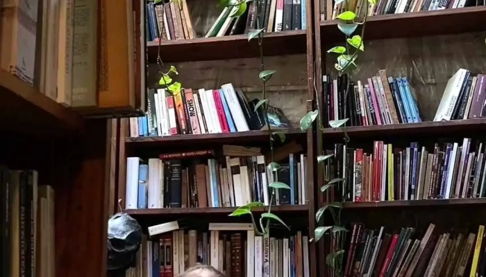 Babilonia Libros -  Videos - Montevideo