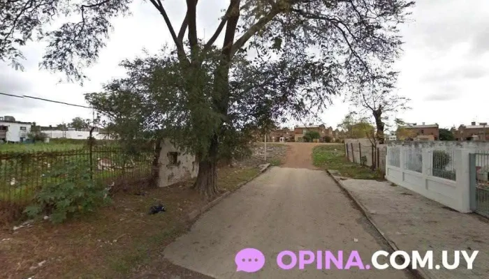 Báez Bienes Raíces - Montevideo