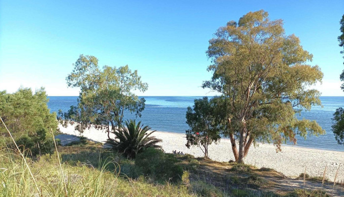 Balneario Kiyú - San José