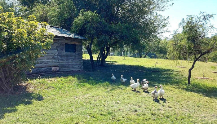 Balneario Las Toscas - Camino A La Meseta De Artigas