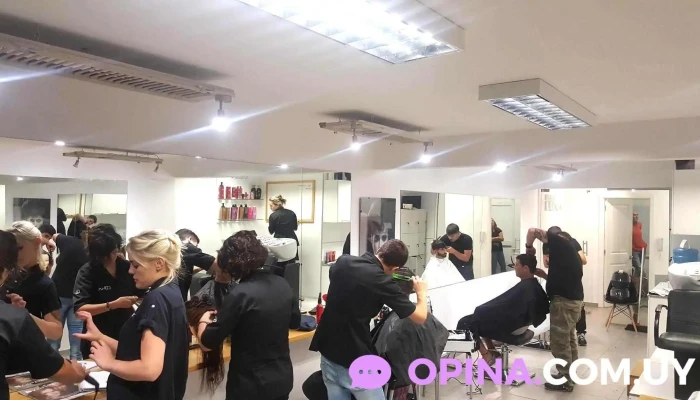 Barbarian Arquitectos -    Negocios Inmobiliarios Diseno Interior - Montevideo