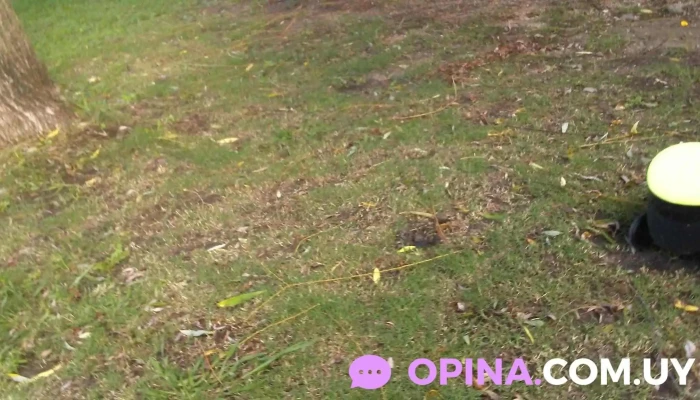 Barber michael - 12800 Montevideo