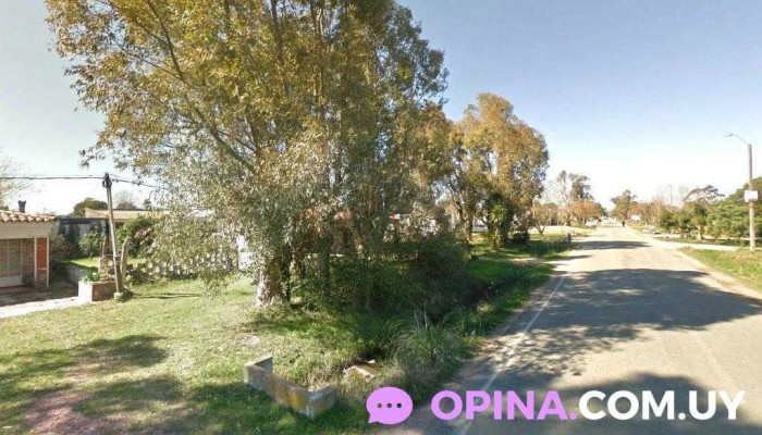 Barberia Dsl - Ciudad Del Plata