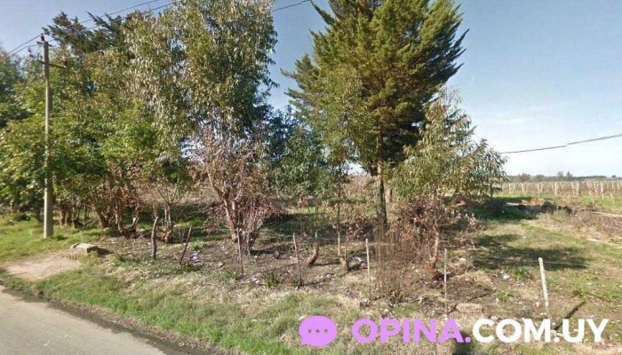 BarberiaTD - 12200 Montevideo