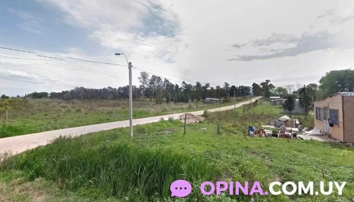 Barraca Angela - Barros Blancos