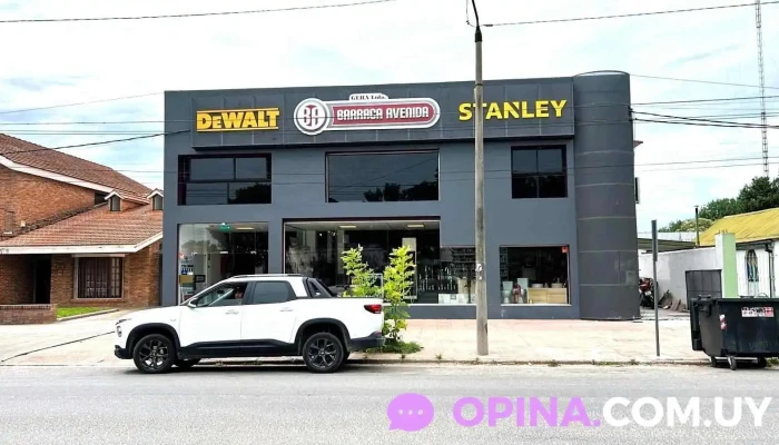 Barraca Avenida - Young