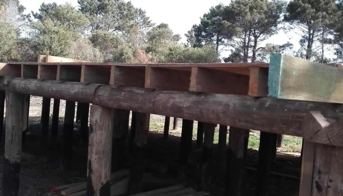 Barraca Barrios - La Paloma