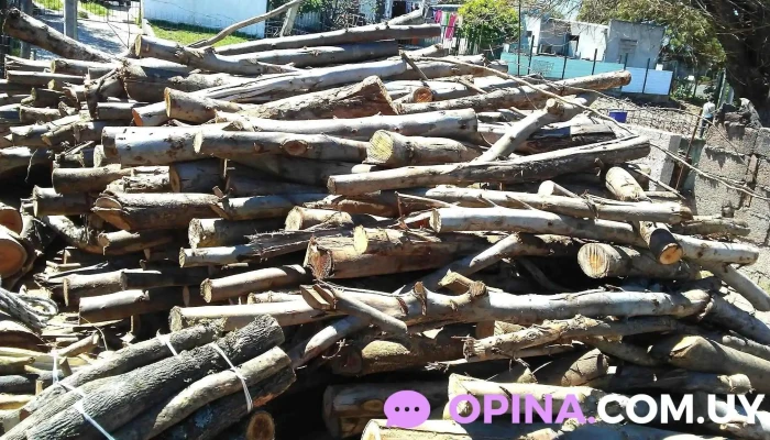 Barraca De Leña - Coronel Pedro De León 5705