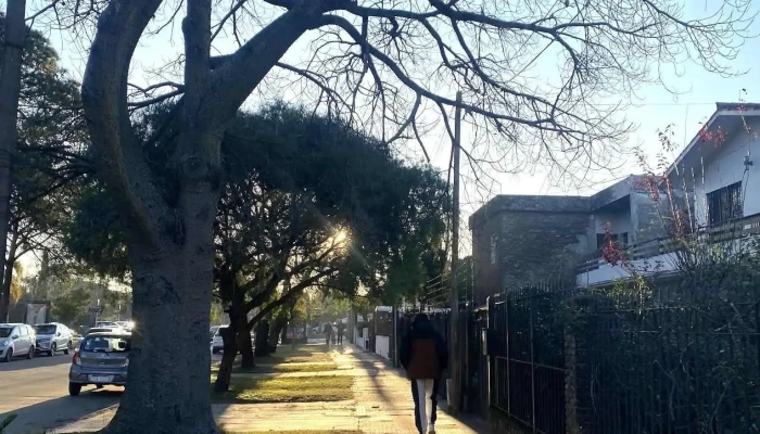 Barraca El Grifo - Montevideo