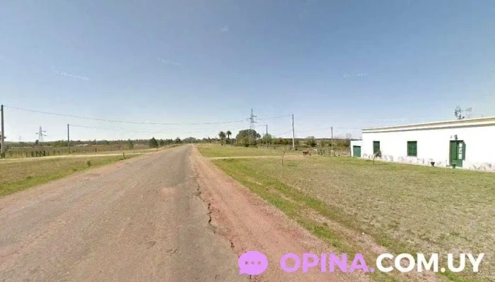 Barraca El Líder - Mercedes