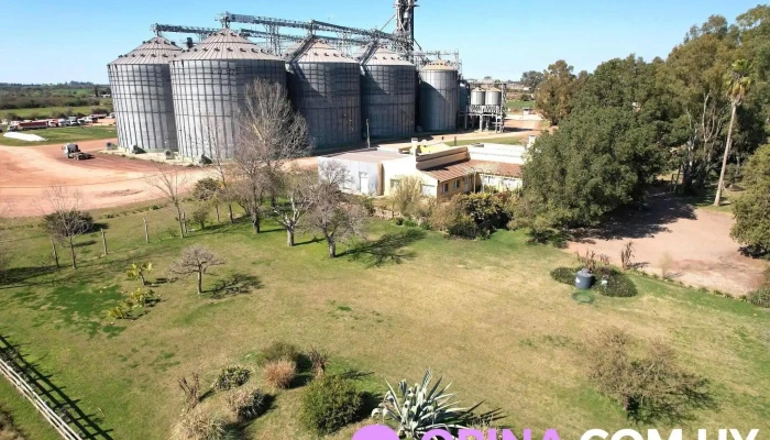 Barraca Erro S.a. - Nueva Palmira - Nueva Palmira