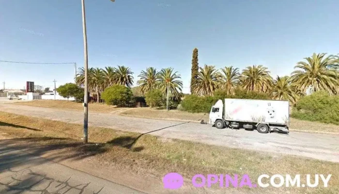 Barraca Fredy Romero - Empalme Olmos