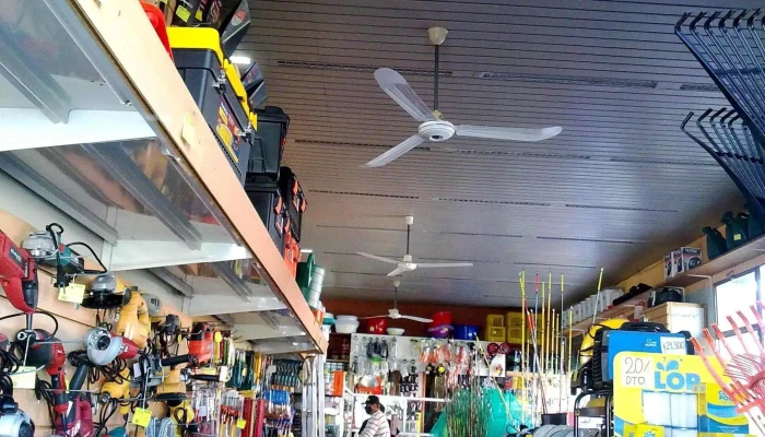 Barraca Riera S.r.l. - Departamento De Colonia