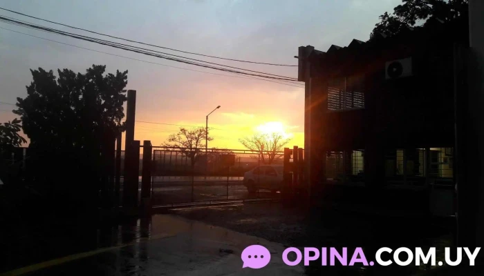 Barraca Viana S.a. - Rivera