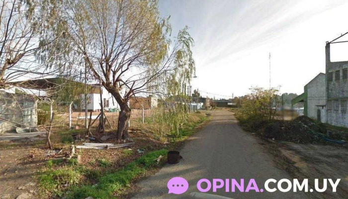 Barraca y ferreteria Nuevo Siglo Pintenord (nuevo) - Vivian Trias Y