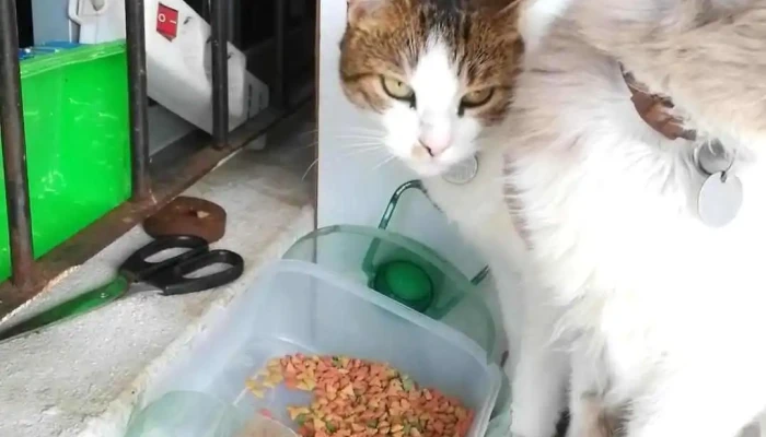 Barros Blancos -  Videos - Barros Blancos