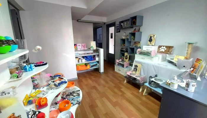 Bastet - 11100 Montevideo