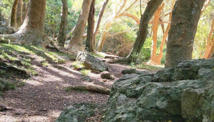 Batara Outdoors - Montevideo