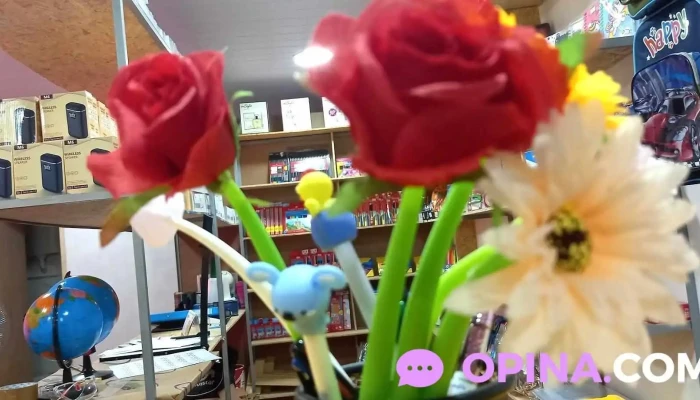 Bazar Alpha Papeleria Regalaria Y Basar Como Llegar - Montevideo