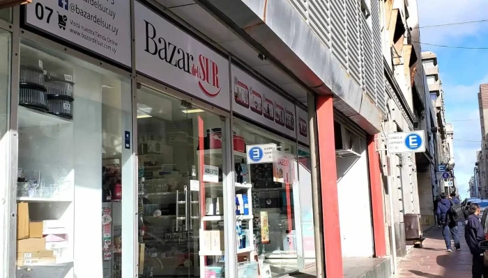 Bazar del Sur - 11000 Montevideo