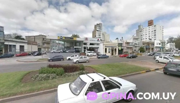 Beauty Planet (en Barrio 3 Cruces) - 11200 Montevideo