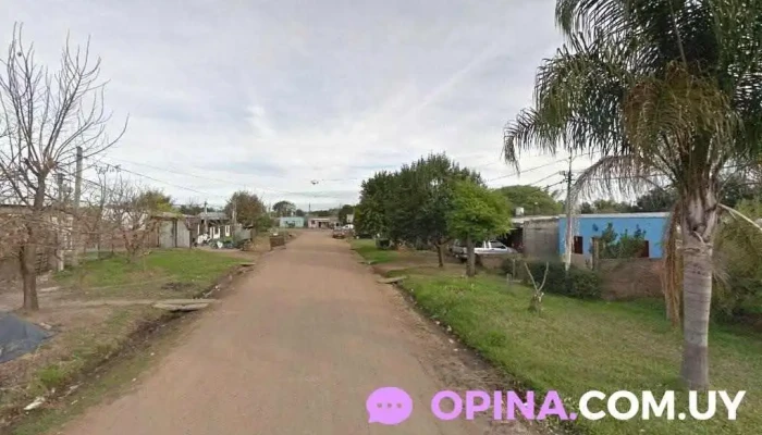 Ben Pereira Barbería - Oficial 1