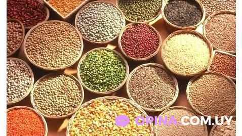 Beninca y Cia - 55100 Bella Unión