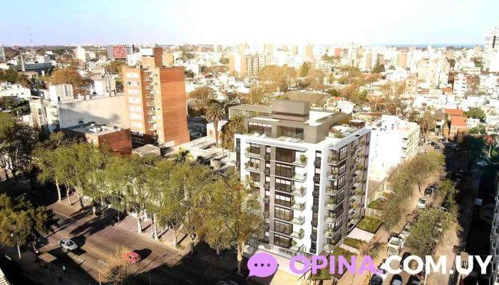 BeOne | Ramona - Montevideo