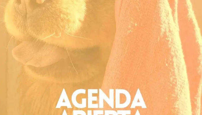 Bichera Peluquería Canina - 94000 Florida