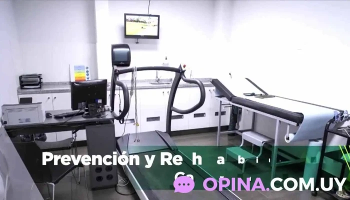 Bienestar Fisioterapia Personalizada Rehabilitacion Videos - Uruguay