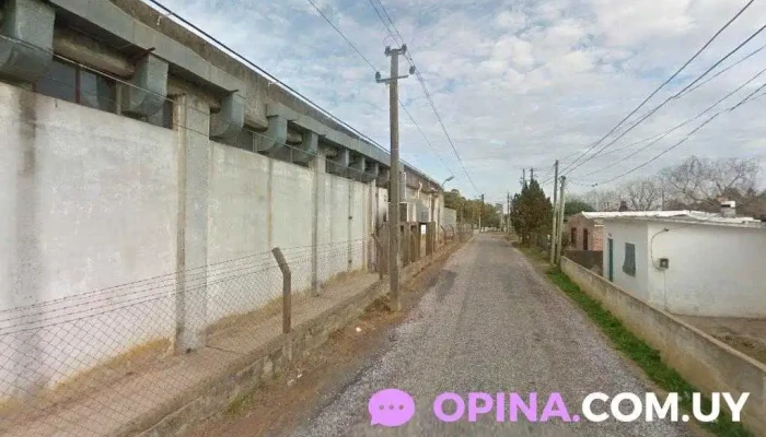 Blue Bird Sa - 20400