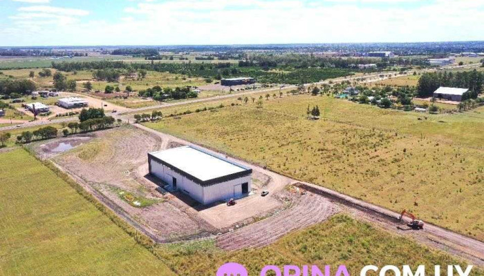 Bodega Cattani . - 50000 Salto