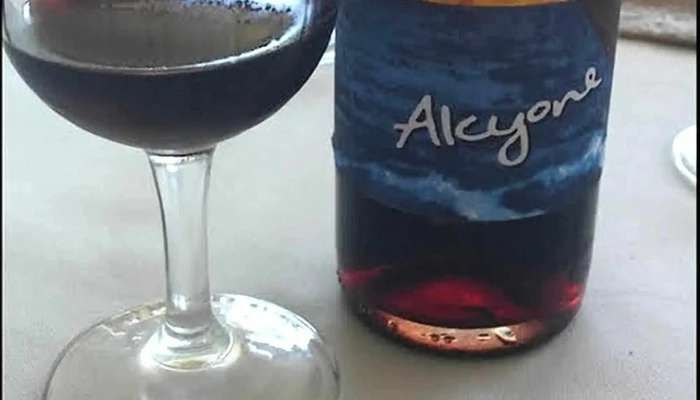 Bodega Pablo Fallabrino -  Comentarios - Estación Atlántida