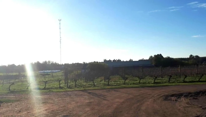 Bodega Pablo Fallabrino -  Numero - Estación Atlántida