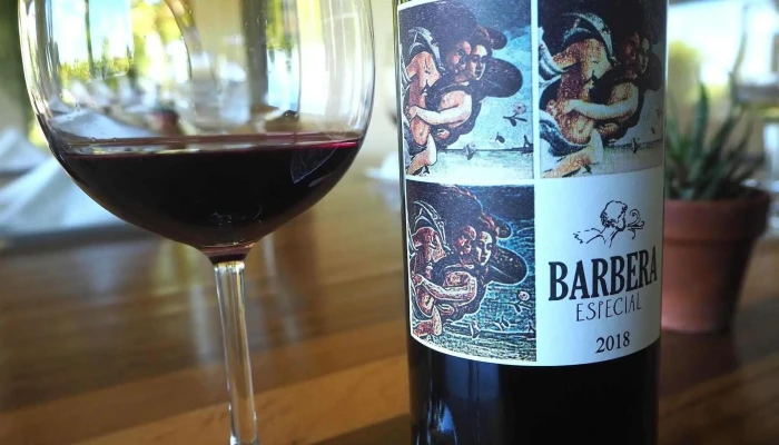 Bodega Pablo Fallabrino -  Vino - Estación Atlántida