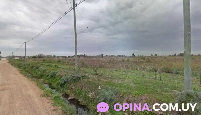 Bodegas De Maio - Barros Blancos