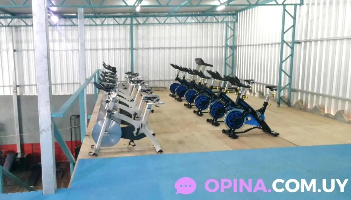 Body Center Maldonado -  Banco De Entrenamiento - Maldonado