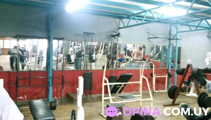 Body Center Maldonado -  Gimnasio - Maldonado