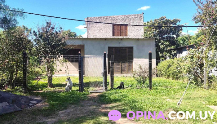 Bolivia 1135 -  Sitio Web - Bella Unión