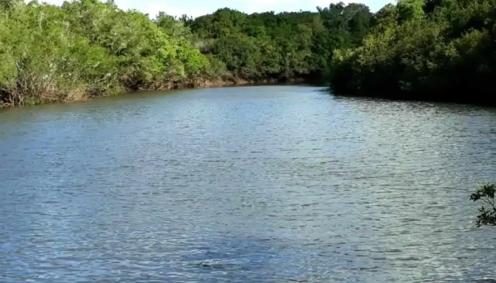 Bomba Antigua Arroyo Parao - Vergara