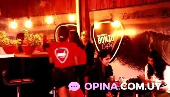 Bonzo Cafe Videos - Cafetería