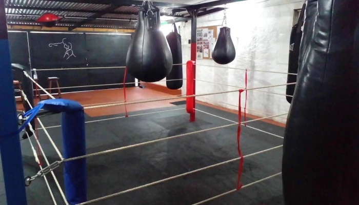 Boxing Club Durazno -  Boxeo - Durazno