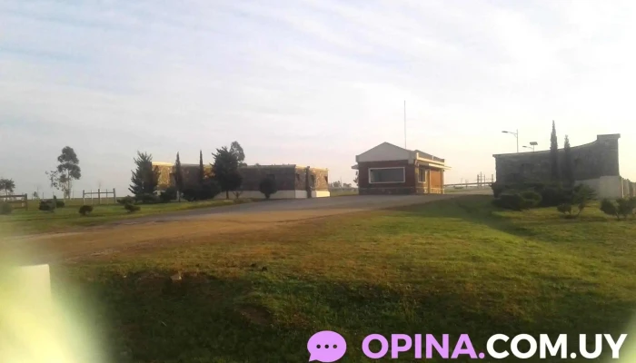 Bpu Meat - Rincón 487