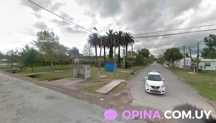 Brashing Progresivo Minas - Ruta 12