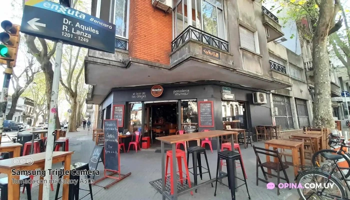 Brecha Bar Y Cafe:  Ambiente - Bar