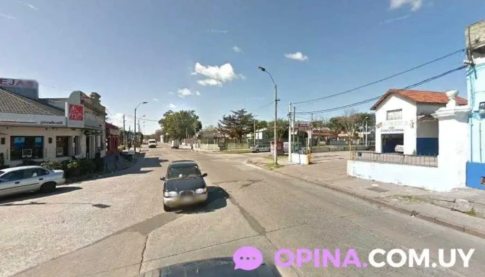 Brisa Mascotas - 11400 Montevideo